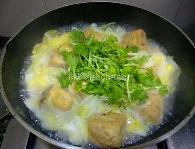 看白菜煮烂，汤汁收汁，给盐，香菜，关火出锅