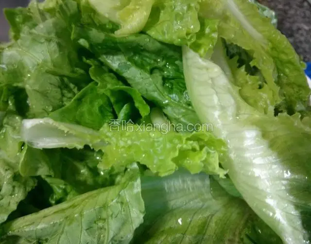 生菜洗干净