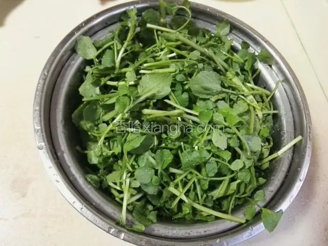 西洋菜洗干净沥干备用