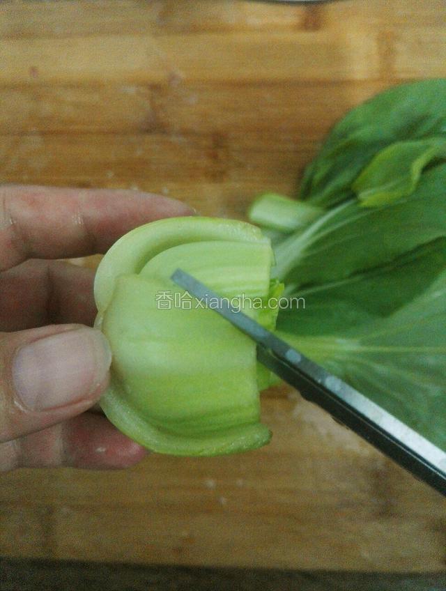 京白菜离根部5公分处切断，用剪刀在每片菜杆左右两边斜剪一刀修出形状。