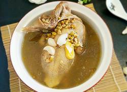 乳鸽百合炖绿豆汤