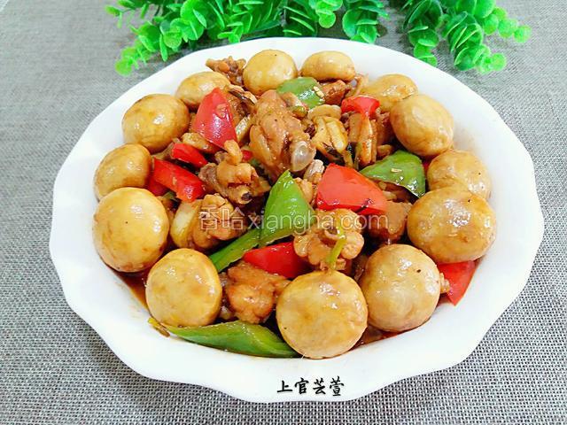 小鸡采蘑菇