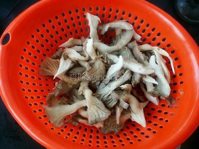 鲜蘑洗净，用手挤出去水份，撕成小朵备用。