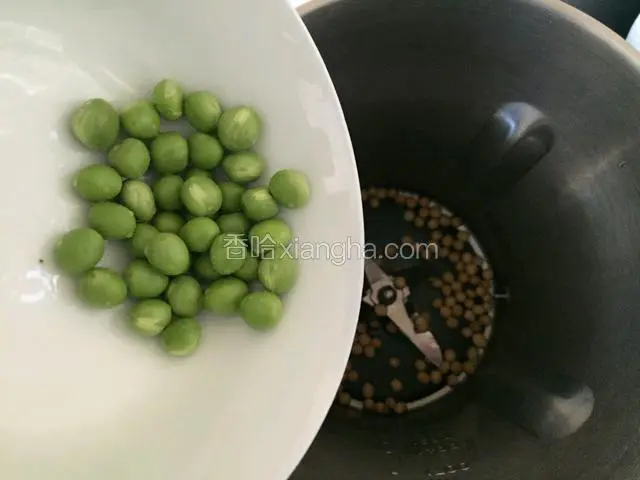 豌豆清洗干净加入杯桶中