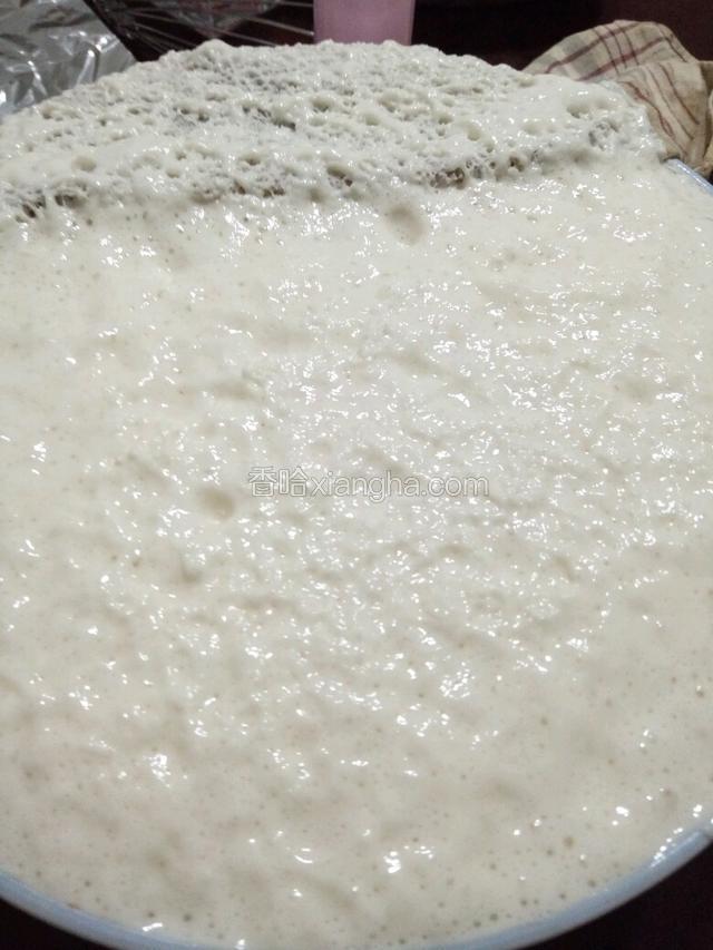 发酵好的满满一大碗，好香的甜酒发酵味道。