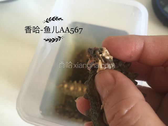 去除腹腔的杂物、沙嘴和牙齿。