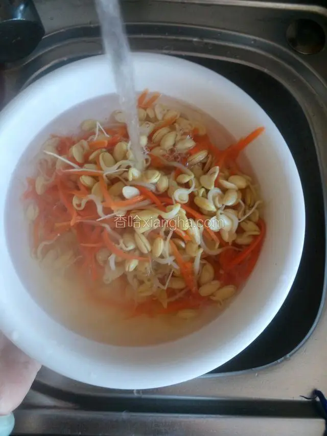 焯好的豆芽和胡萝卜丝过凉水并控干水份。