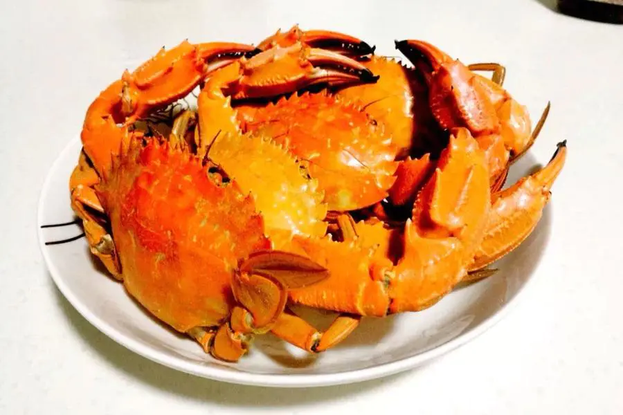 清蒸海蟹