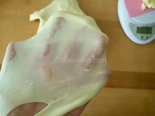 一直揉到完全阶段 其实扩展阶段就可以了 不知不觉就揉过了（面包机和了一会我就拿出来手揉了 大概二十分钟左右就这样了 ）