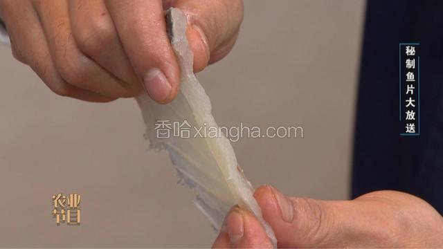 草鱼去骨，切刀片成一元硬币厚度，加入冰块揉搓，口感更加脆弹，再加入盐、花雕酒、醋、糍粑辣椒，同鱼片一起揉搓入味，均匀包裹。再加入少量淀粉，抓匀抓好，防止出水。