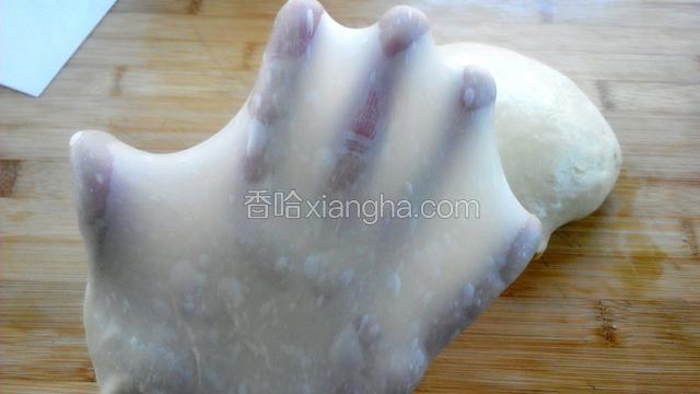 取出面团揉圆，切一小块面，慢慢拉伸，看！手套膜很容易就形成了