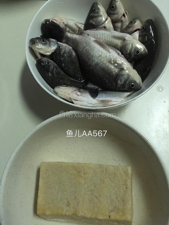 鲫鱼去鳞，去腮，去内脏（鱼肚子里侧的黑膜一定要去掉）。