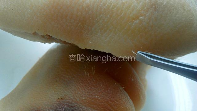煮至水沸腾即可关火，将猪蹄夹出，稍微晾凉，将猪毛夹净