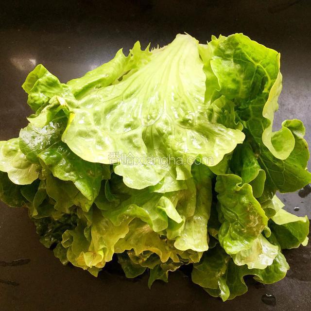 生菜一棵