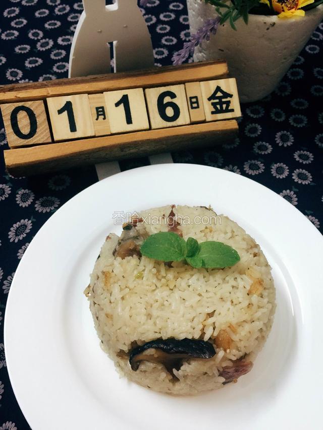开动咯