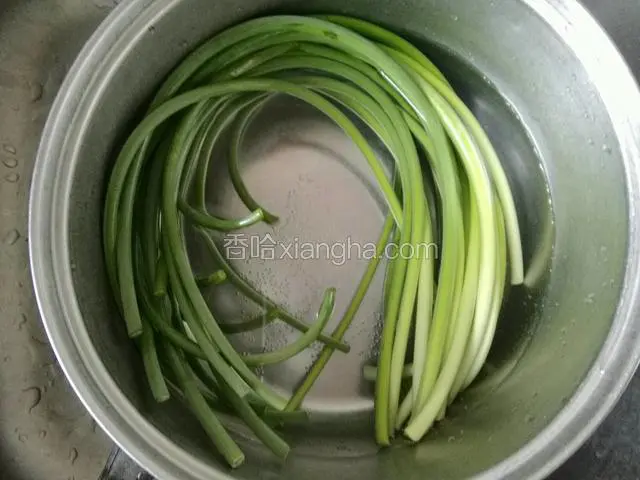 蒜苗洗净控水；