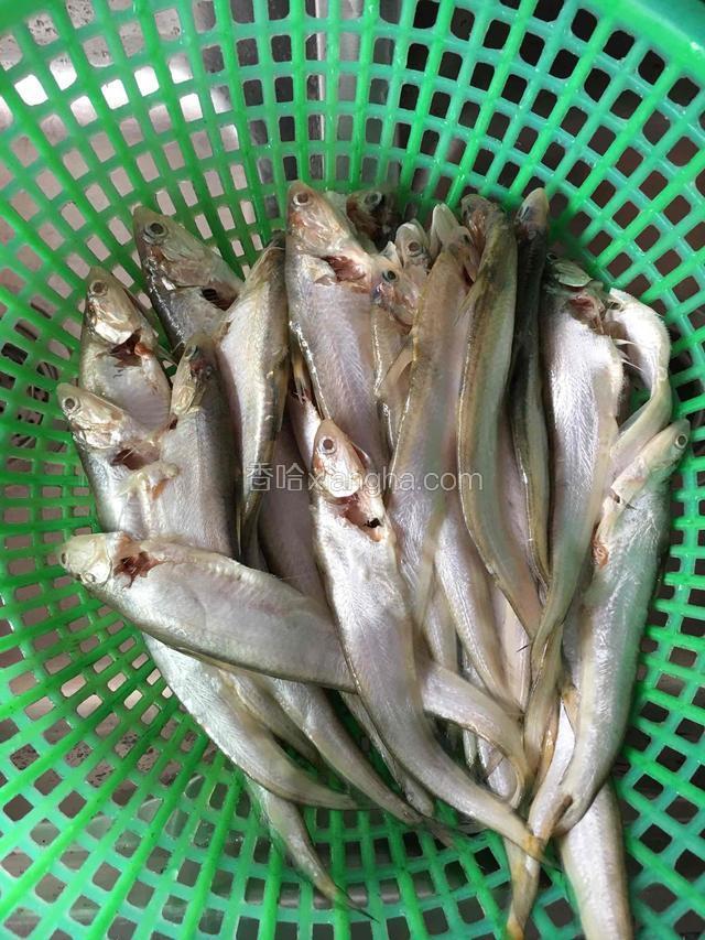 刀鱼洗净沥干水分