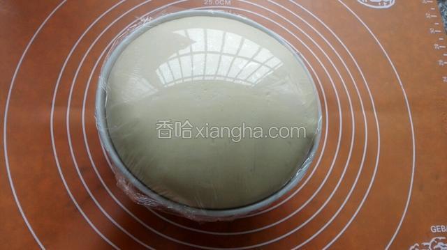 发酵至2.5倍大，发酵完成，拿出揉均排气！