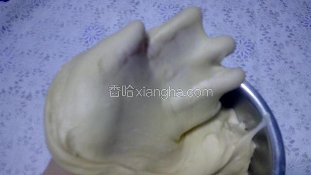 可采用揉搓、摔、抻的方式，继续快速揉面，约20分钟后，面团已达到扩展阶段，即能拉出大片很薄很透明的膜，能将手掌覆盖，俗称“手套膜”，即使用手指捅破，洞的边缘也很光滑。如图。