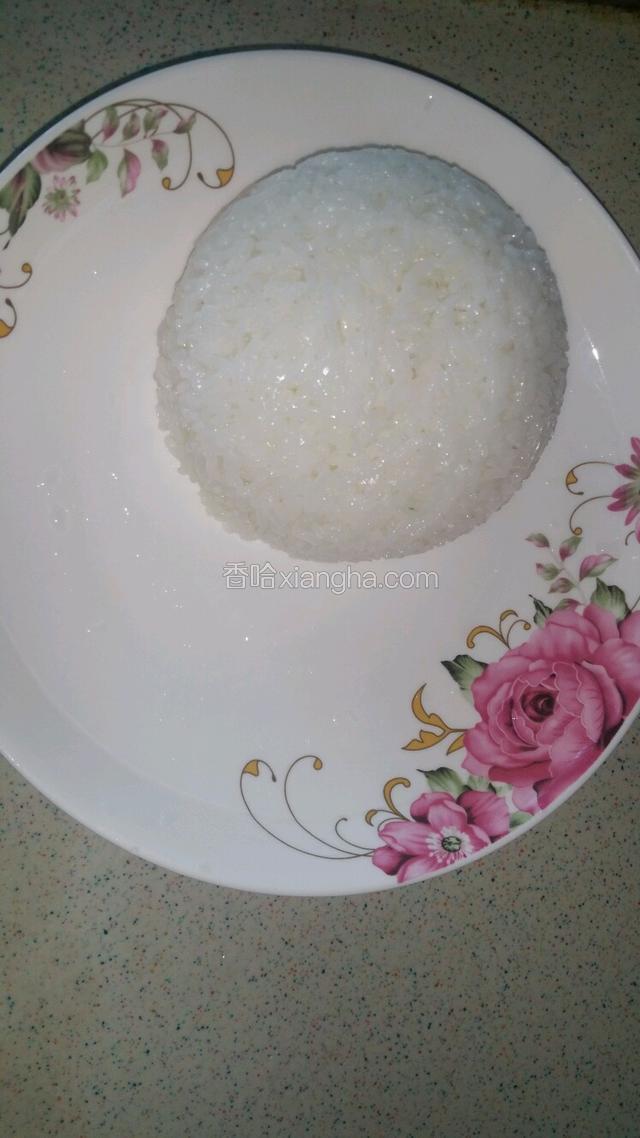 煮好的米饭盛入盘中