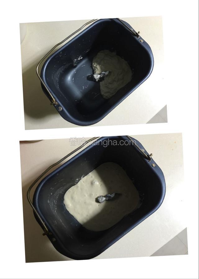 波兰种材料放入面包机桶中混合均匀，盖上湿毛巾发酵至面团内部呈现蜂窝状；