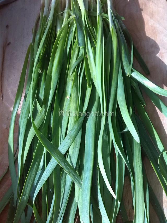韭菜洗净