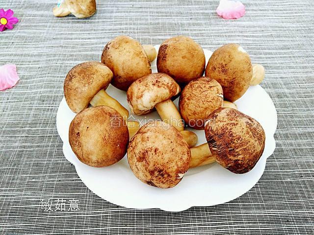 香菇包（红豆沙）