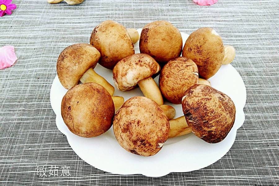 香菇包（红豆沙）