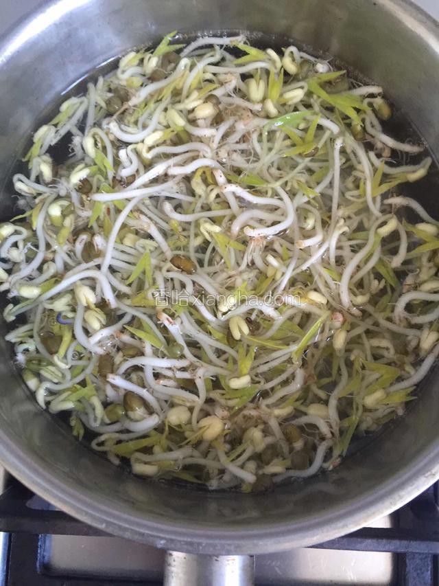 锅中烧开水焯熟豆芽。