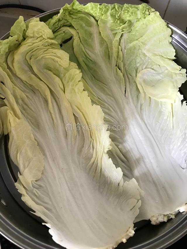 在蒸笼上铺上大白菜叶，一来比笼布卫生，二来丸子可以吸收白菜叶的香味。