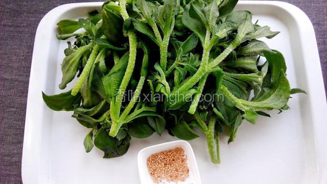 准备食材