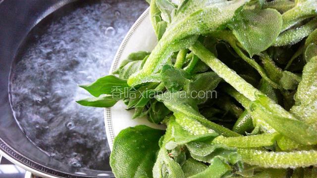 烧锅开水，放入冰草