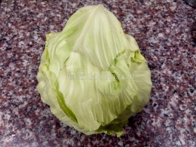 新鲜的圆白菜一颗。