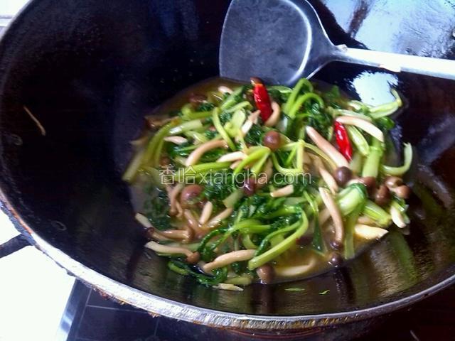 油菜炒软后放蚝油，味精，盐调味