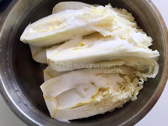 洗净的白菜剖开两半，加入60克盐腌制12个小时，每个白菜叶都抹上盐。