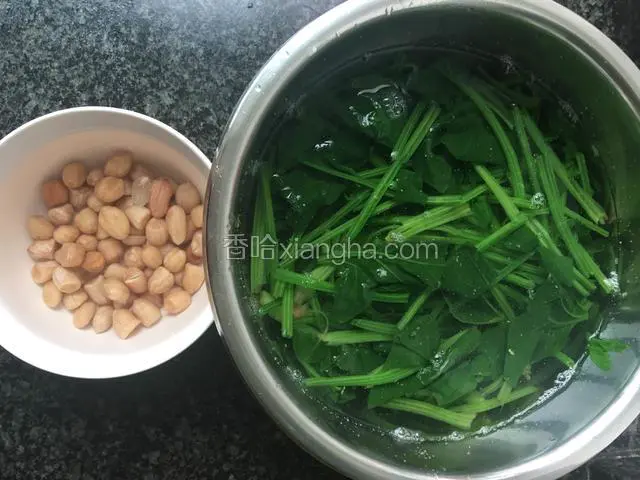 花生煮熟，菠菜焯水，然后都用凉开水过一下。