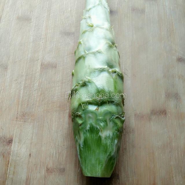 主料