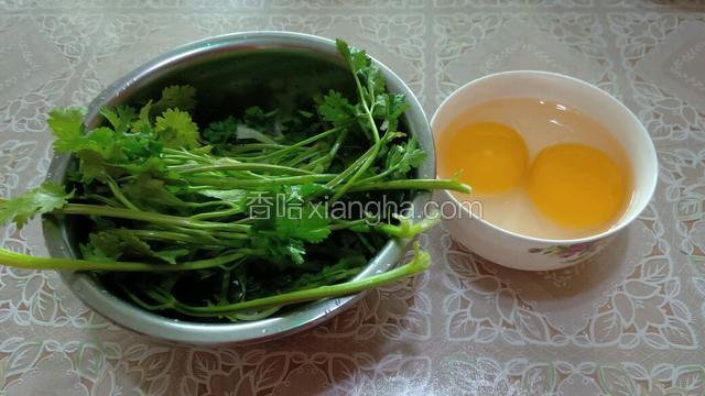 准备食材，把香菜择洗干净，鹅蛋打入碗中。