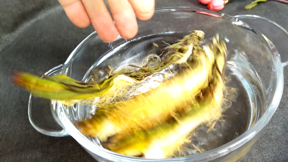 霸王花用水浸软，洗净
