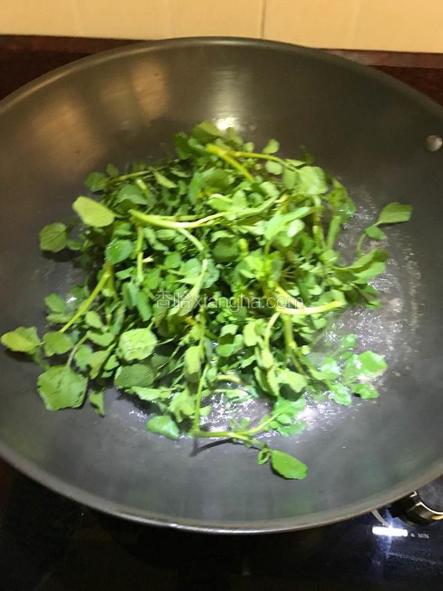 最后放入西洋菜，仍然是沸腾状态的水。