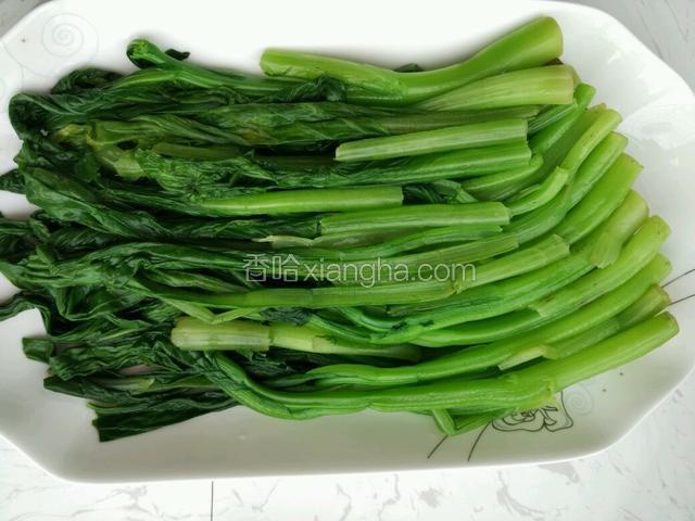 过冷水后菜心摆盘