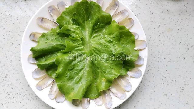 蛏子壳和生菜摆盘。