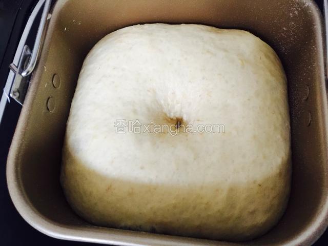 面团发到两倍大了，用手蘸水戳一下面团，不反弹，不回缩即发酵完成。
