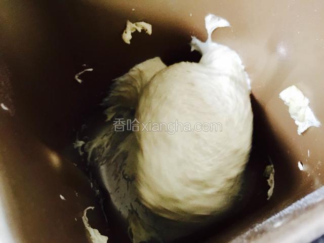 再次启动揉面功能给面团排气。