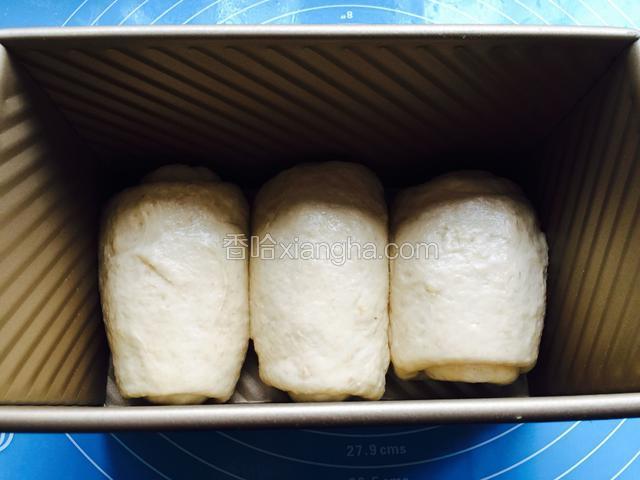 卷好的面团放入土司盒中，盖上盖子二次发酵。