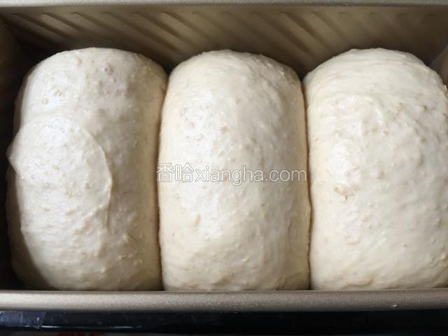 面团发酵到土司盒的八九分满即可。