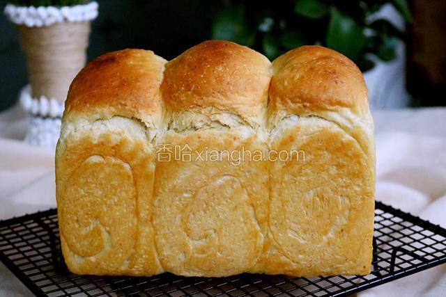 烤好后倒出土司放制手心温度装入保鲜袋保存。