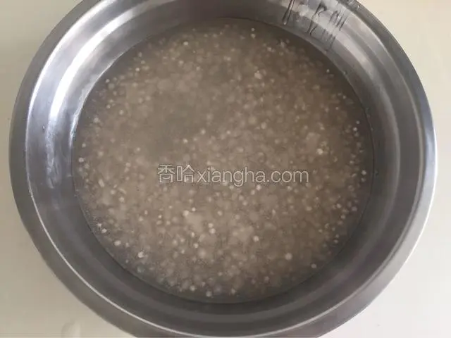 煮至透明状捞出，用凉水冲洗