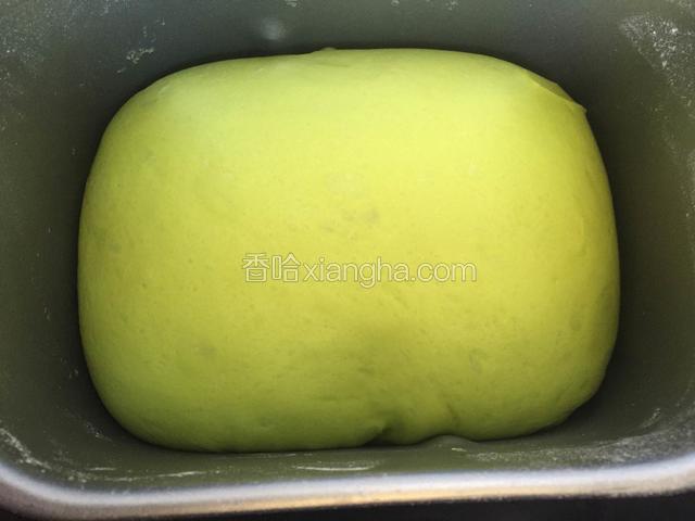 约一小时发至二倍大。