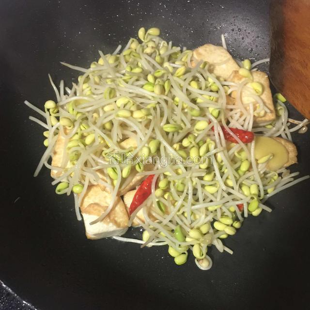 豆芽覆盖豆腐上